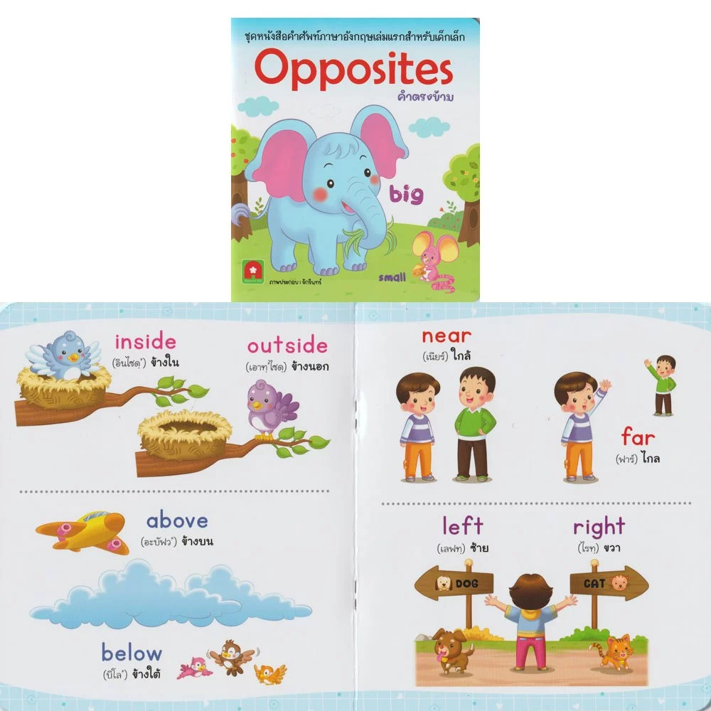Aksara for kids หนังสือเด็ก คำศัพท์ ภาษาอังกฤษ สำหรับเด็ก (เลือกเล่ม) thumbnail 10