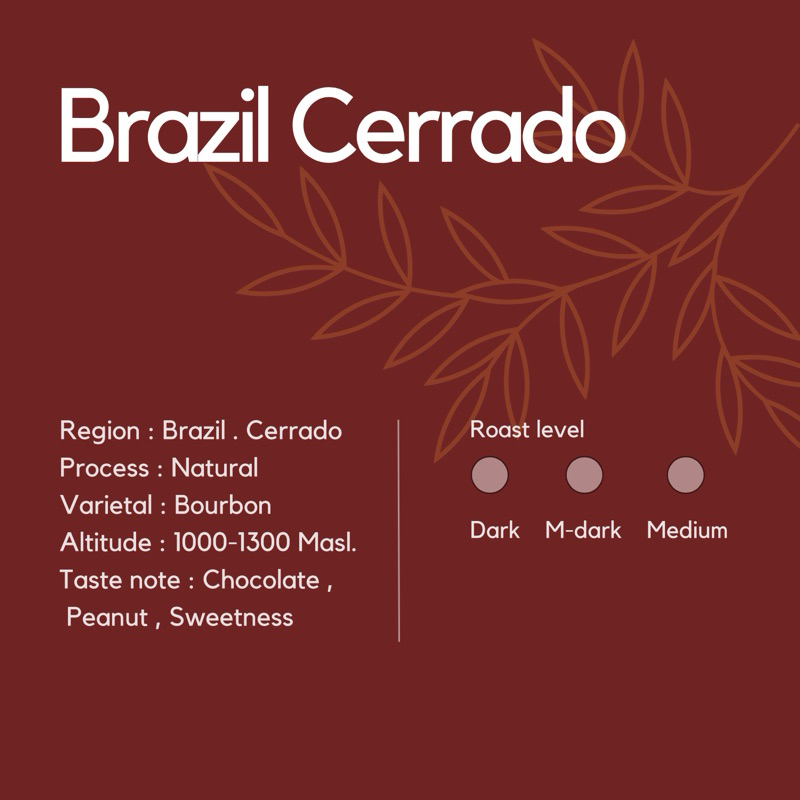 เมล็ดกาแฟ Brazil Cerrado Finecup Natural