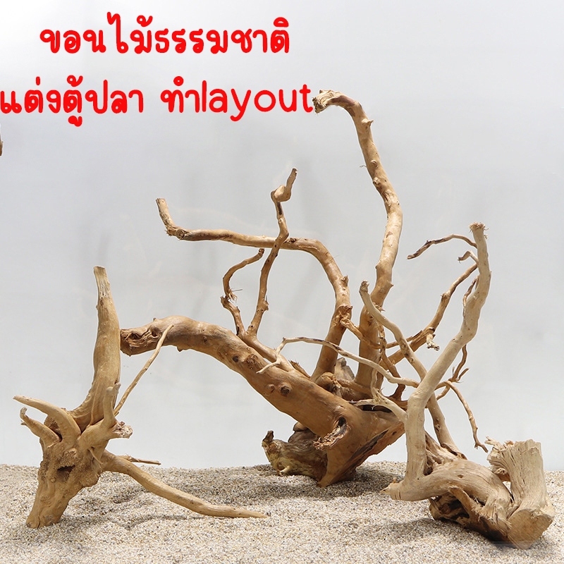 ไม้แต่งตู้ปลา ขอนไม้ รากไม้โรโดเดนดรอน กิ่งไม้ รากไม้ ตกแต่งตู้ปลา ตู้ไม้น้ำ เนื้อไม้แท้ ปลอดภัย100％