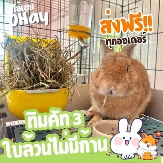 NEW! ทิมใบล้วน 🔥Ohay ส่งฟรี!!🔥 หญ้ากระต่าย หญ้าทิโมธีคัท 3 ทิมใบล้วนร่อนฝุ่นจาก iHay 1กก.