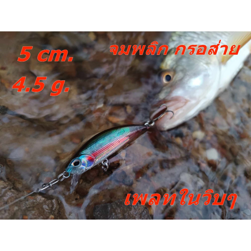 เหยื่อตกกระสูบ กะพง จมโคลง กรอส่าย เคาะดิ้น สู้น้ำดี 5cm. 4.5g. มีเพลทใน แจ่มๆ