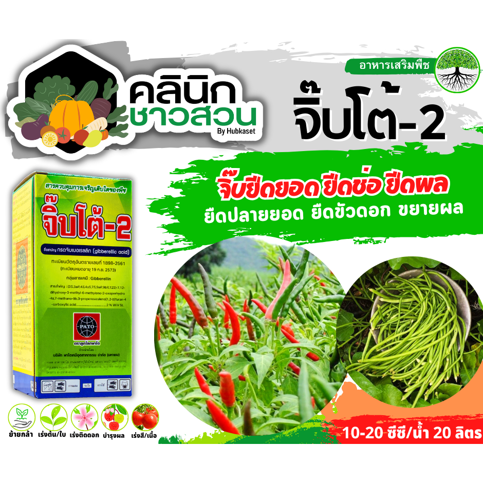 🥬 💥💥 สินค้ายกแแผง 💥💥 จิ๊บเม็ด (กรดจิบเบอร์เรลลิคแอซิด) บรรจุ 5กรัม*10เม็ด จิ๊บยืดยอด ยืดช่อ ยืดผล