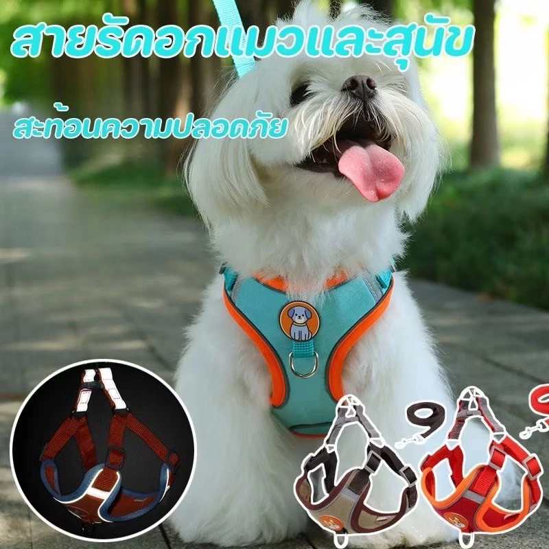 สายรัดอกแมวและสุนัข ฟรีสายจูง สายจูงสะท้อนแสงสำหรับสัตว์เลี้ยงกลางแจ้ง สุนัขและแมวสามารถใช้ได้ L267