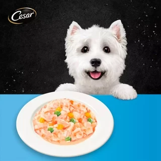 อาหารสุนัขเปียกชนิดซอง cesar ซีซาร์ ขนาด 70gX16 ยกกล่อง