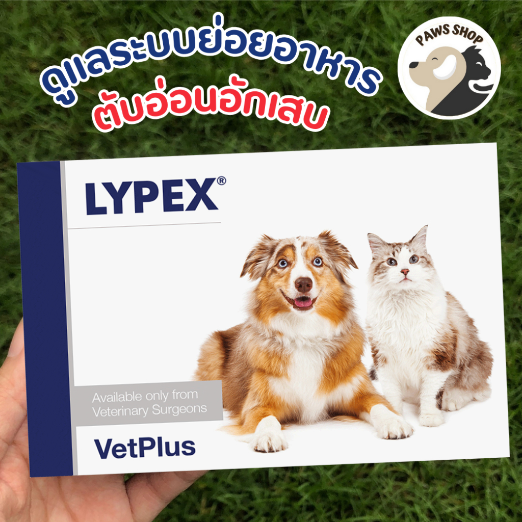 LYPEX ไลเป็กซ์ เสริมการย่อยอาหารสำหรับสุนัขและแมวที่เป็นโรคตับอ่อนเรื้อรัง บรรจุ 60แคปซูล Exp.31.07.