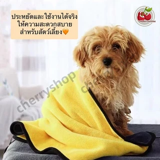 ผ้าเช็ดขนแมว สุนัข สัตว์เลี้ยง ผ้าเช็ดขนสัตว์เลี้ยง ทนทาน ไม่ขาดง่าย ซับน้ำได้ดี ราคาถูก พร้อมส่ง