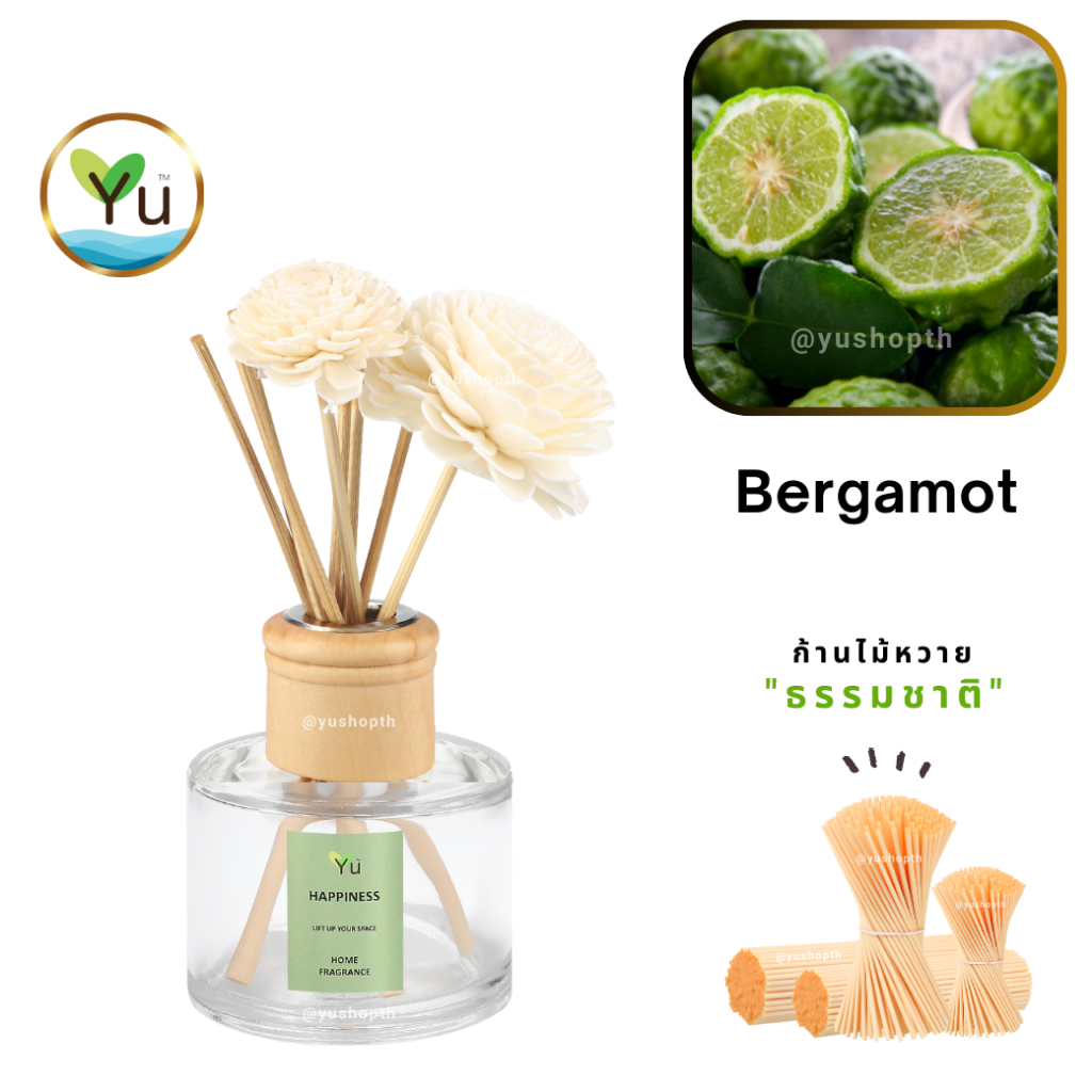 🌟 กลิ่น Bergamot มะกรูด 🌟 Room Diffuser 120 ml. กลิ่นหอมสมุนไพรอ่อนๆ ซ่อนเปรี้ยวหอมสดชื่น ก้านไม้หอม