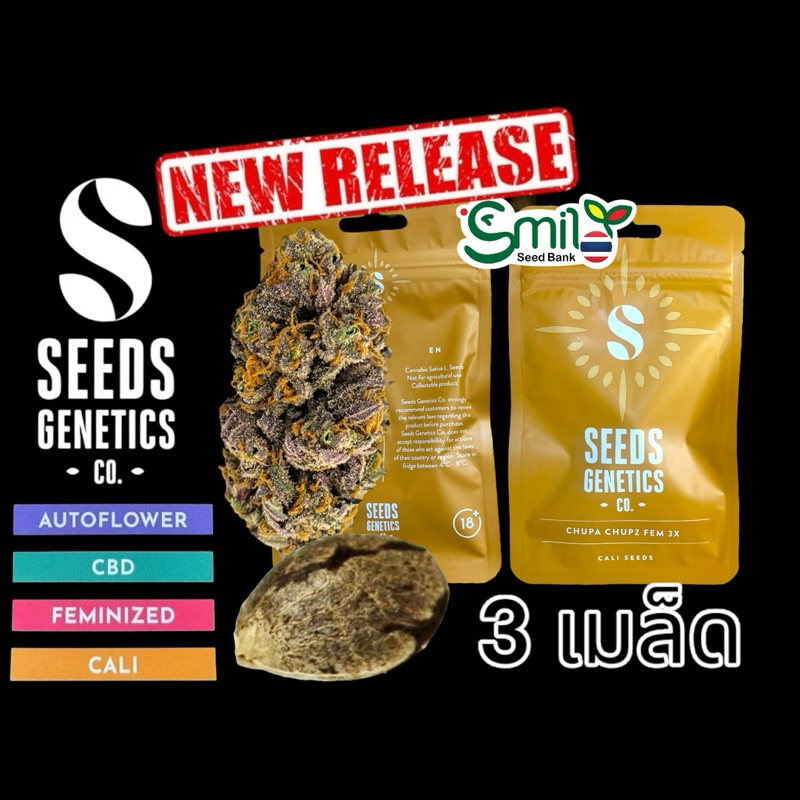 เมล็ดกัญชา Chupa Chupz (Fem) ใหม่ล่าสุด 2024* - Seeds Genetics.Co