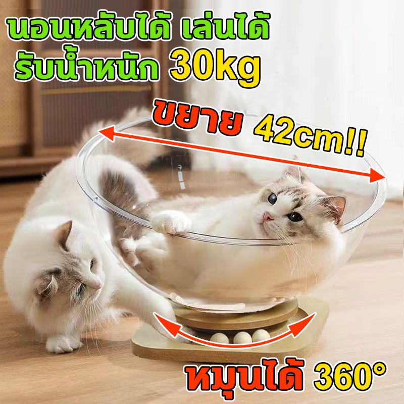 หลุมแมว ที่นอนแมว หลุมอวกาศใส ที่นอนนอนแมวติดผนัง แคปซูลอวกาศสบาย คอนโดแมวอวกาศ แข็งแรง รับน้ำหนักได้ 10kg