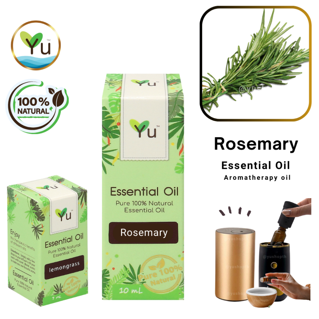 100% Pure Rosemary Essential Oil กลิ่นโรสแมรี่ | น้ำมันหอมระเหย กลิ่นสกัดจากธรรมชาติ 100% | 7-30 ml.