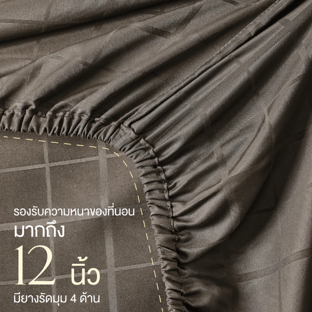 ibed ชุดผ้าปูที่นอนทอลายครบเซ็ท Softex Satin (ลายสี่เหลี่ยม) Coffee - SQUARE COLLECTION thumbnail 6