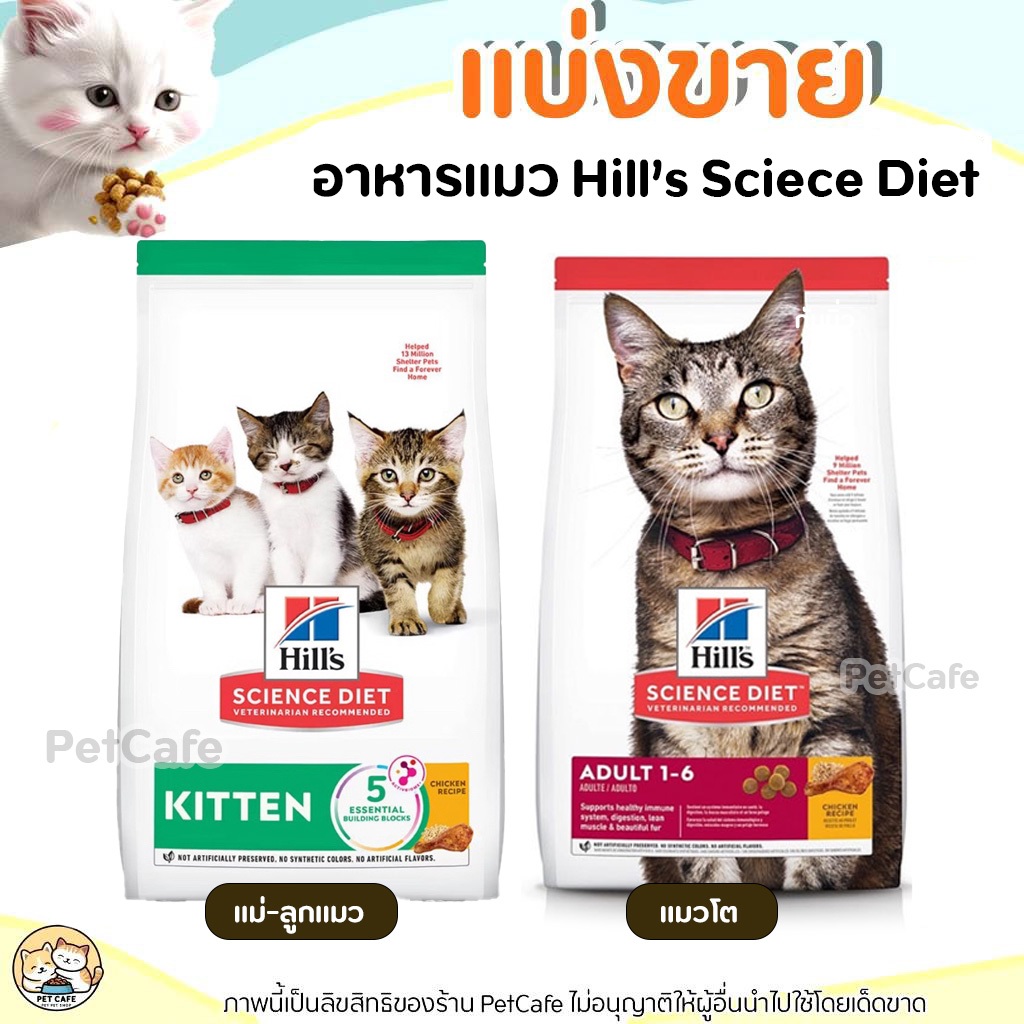 แบ่งขาย อาหารแมว Hill’s science diet kitten สูตรแมวเด็ก<12เดือน และแม่แมวเลี้ยงดูลูก และแมวโต