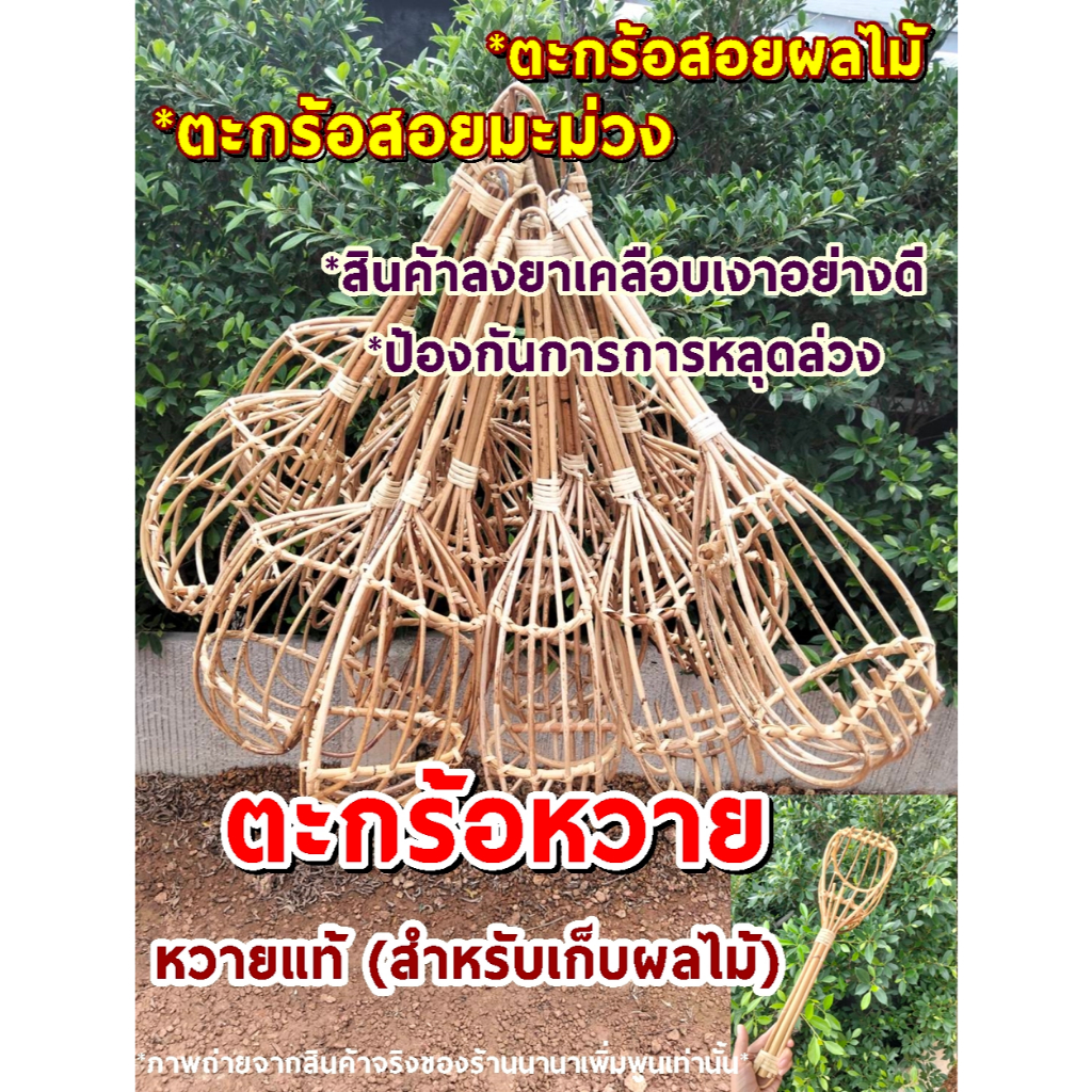 ตะกร้อสอยมะม่วง#ตะกร้อสอยผลไม้#ทำจากหวายแท้#แข็งแรงทนทานน้ำหนักเบา