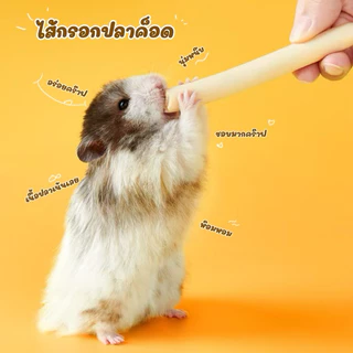 [crazy pet shop]ไส้กรอกปลาด็อด DHA เนื้อปลาแน่นมีประโยชน์ สำหรับหนูแฮมสเตอร์