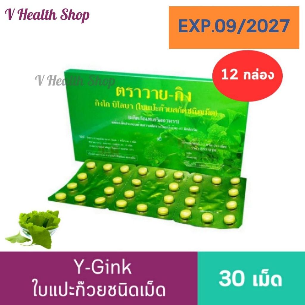 [ยกโหล] Y-Gink ใบแปะก๊วยสกัด ตราวายกิง กิงโก บิโลบา 30 เม็ด ใบแป๊ะก๊วย ชนิดเม็ด อายุยาว