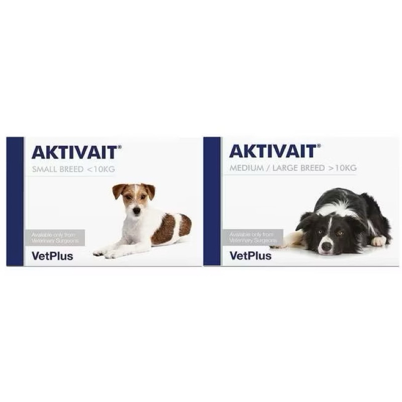 Aktivait for Small Dogs / Medium Dogs & Large Dogs (60 capsules) / Support brain function