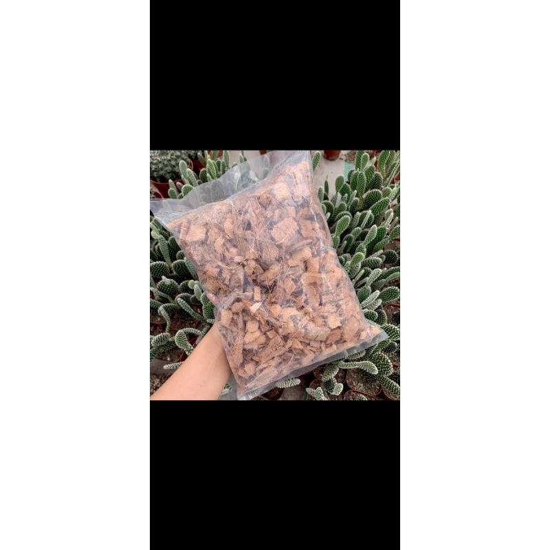 กาบมะพร้าวสับ ราคาถูก วัสดุปลูก