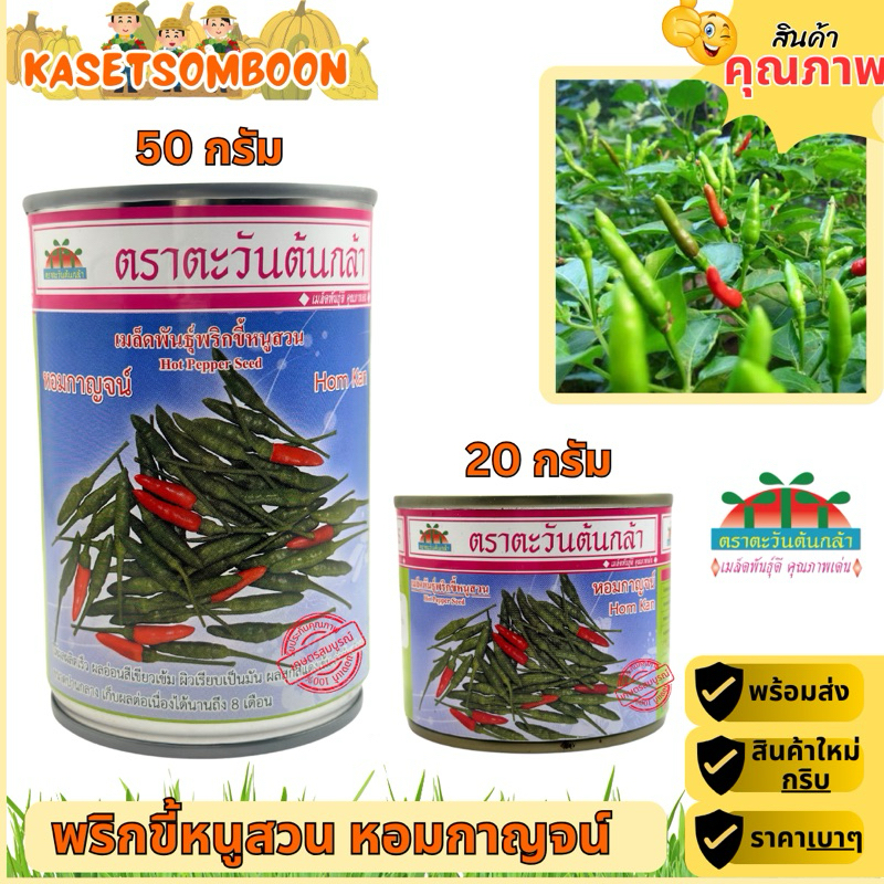 พริกขี้หนูสวน หอมกาญจน์ เมล็ดพันธุ์ 20/50 ก. ตราตะวันต้นกล้า