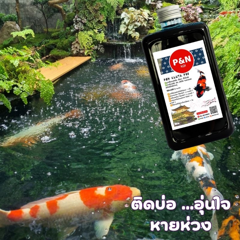 G💊ผลิตภัณฑ์สำหรับปลาคาร์ฟและปลาสวยงาม 100cc-500 cc