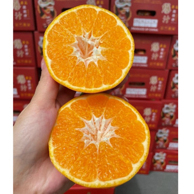 รูปภาพ 9