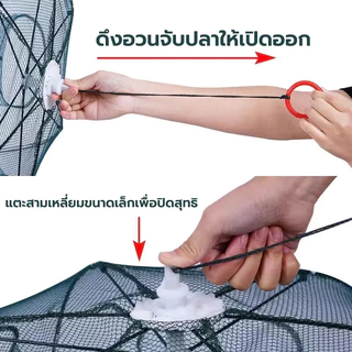 ตาข่ายดักปลา มุ้งดักปลา ที่ดักกุ้ง ลอบดักปลา ไซดักปลา แห่จับปลา อุปกรณ์ตกปลา 4 6 8 10ช่องมุ้งดักปลา 5ชิ้น