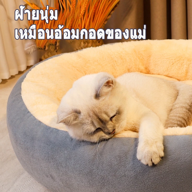 ที่นอนแมว ที่นอนสุนัข เบาะนอนสัตว์เลี้ยง thumbnail 8