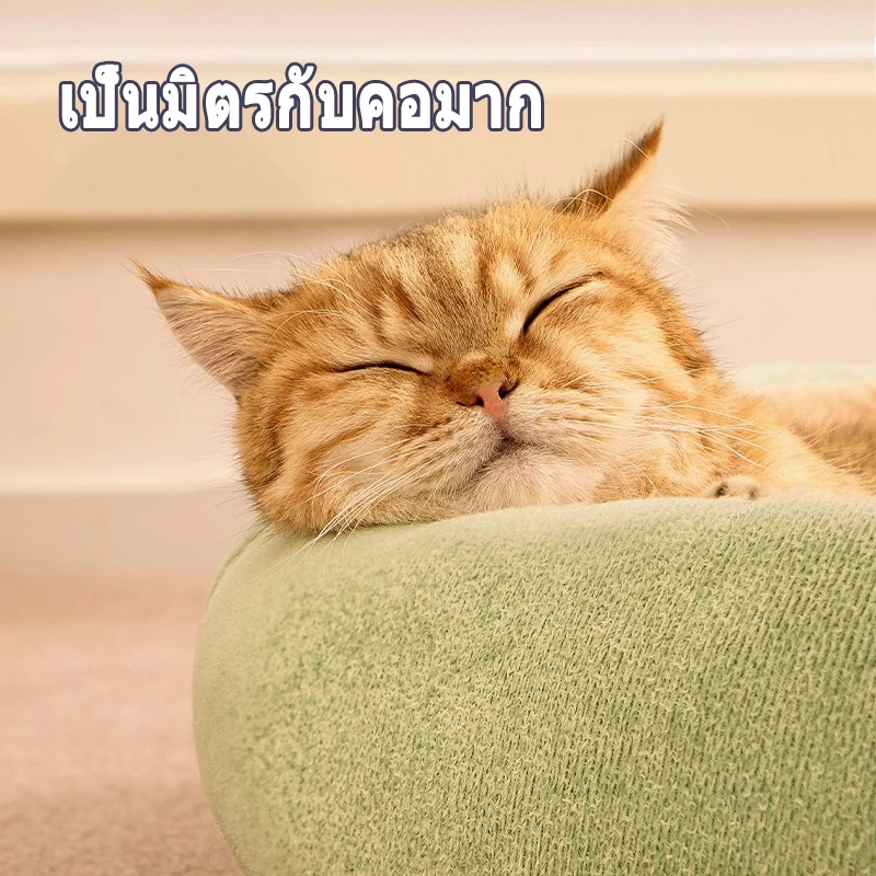 ที่นอนแมว ที่นอนสุนัข เบาะนอนสัตว์เลี้ยง thumbnail 6