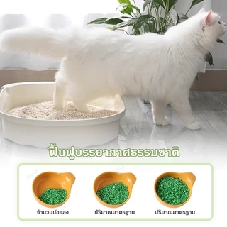 【CAT&DOG】เม็ดดับกลิ่นทรายแมว เม็ดดับกลิ่น ที่ดับกลิ่นอึแมว300g ที่ดับกลิ่นฉี่แมว ที่ระงับกลิ่น เพียงโรยใส่กะบะทรายแมวกลิ