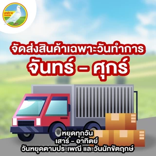 ลิ้นจี่ในน้ำเชื่อม ตราพีเจี้ยน ขนาด 565 กรัม 1 ลัง (24 กระป๋อง)
