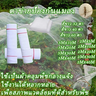 มุ้งขาว มุ้งกันแมลง ผัก มุ้งตั๊กแตน มุ้งขาว 32ตา/40ตา/60ตา หน้ากว้าง 2-3 เมตร ทำเฉพาะคุณภาพ