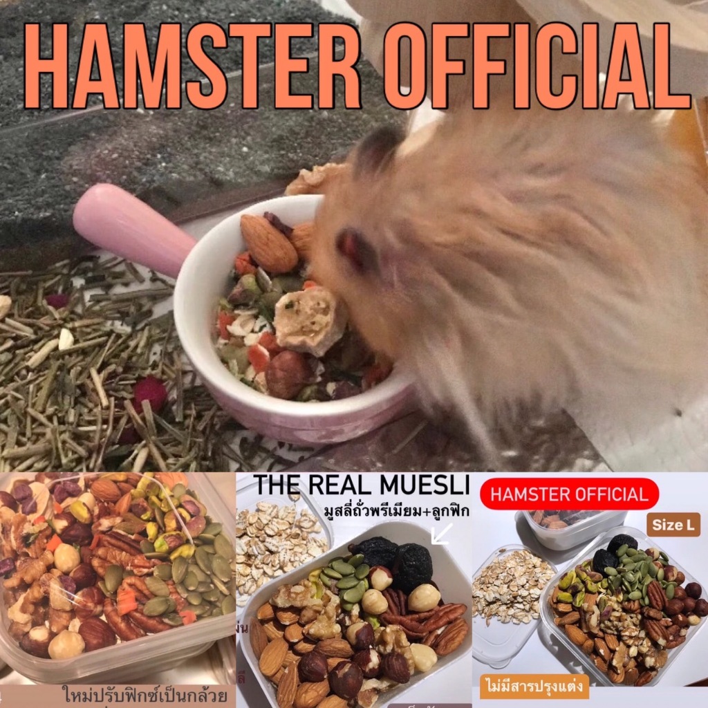 อาหารเสริมผสม อาหารผสม แฮมเตอร์ แฟล็ตเทล ดอร์เมาส์ ถั่วเปลือกแข็ง วอลนัท Hamster Official hamster mixed food nut flower