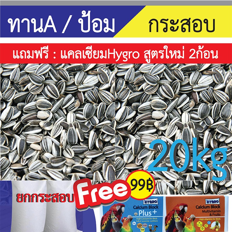 (ยกกระสอบ20kg) ทานตะวัน Aป้อม เม็ดใหญ่ เกรดA อาหารนกแก้ว และสัตว์ฟันแทะ [แถมฟรีHygro 2ก้อน].