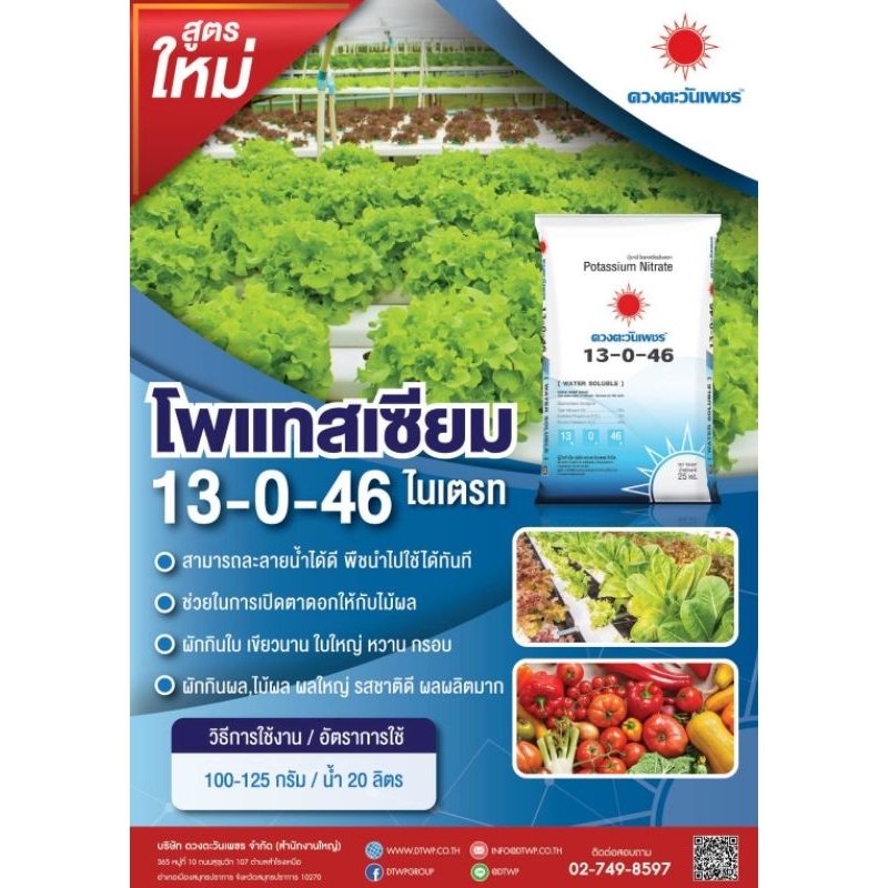 🫧💦 ปุ๋ยเกล็ด/ปุ๋ยทางใบ 13-0-46 🌸กระตุ้นการออกดอก ช่วยเปิดตาดอก 🥭ขยายผล-หัว เพิ่มแป้ง-น้ำตาล บำรุง🪵ต้น- 🌿ใบ ดวงตะวันเพชร - รูปที่ 3