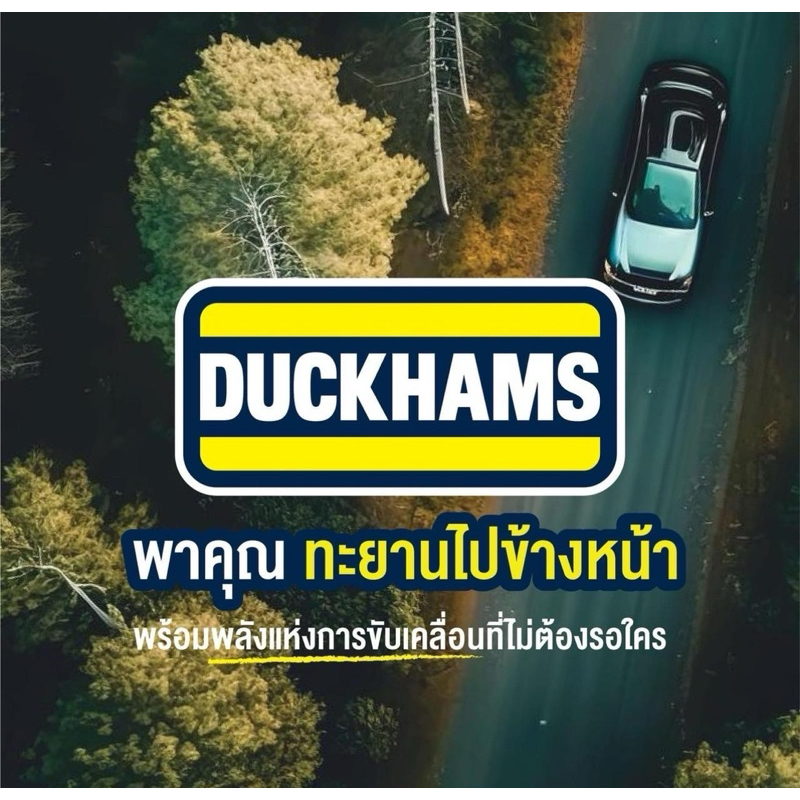 รูปภาพ 8