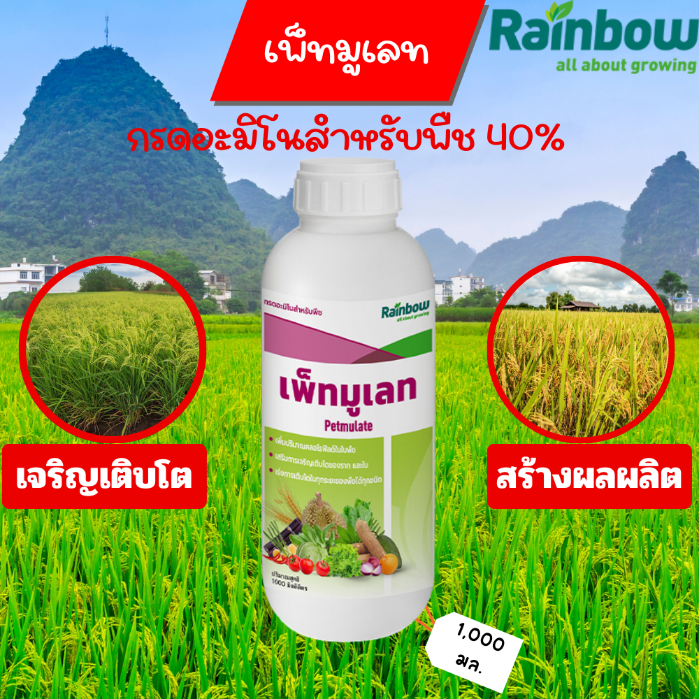 อะมิโนสําหรับพืช 40% (เพ็ทมูเลท) ฉีดพ่น 10-15 ไร่ ขนาด 1 ลิตร