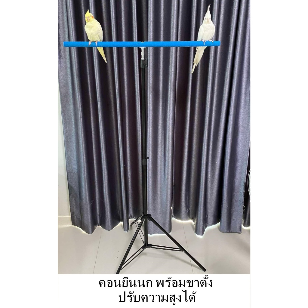 คอนนกยืน คอนยืนนกมีขาตั้ง คอนพกพา พับเก็บได้ ปรับความสูงได้  ใช้ฝึกบินอิสระ
