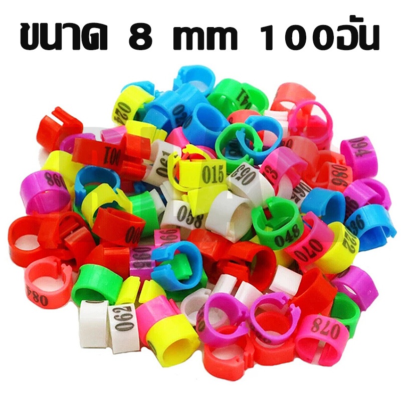 ห่วงขานกแก้ว ห่วงใส่ขานกเขา ใช้ได้กับนกส่วนใหญ่ โนรี ฮันท์ ไคท์ ขนาด 8 mm