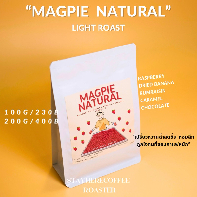 เมล็ดกาแฟคั่วอ่อน MAGPIE NATURAL