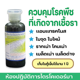 【 พร้อมส่ง】 ไตรโคเดอร์มาชนิดนํ้า(สูตรเข้มข้น)250ml พร้อมใช้งาน ม.เกษตร