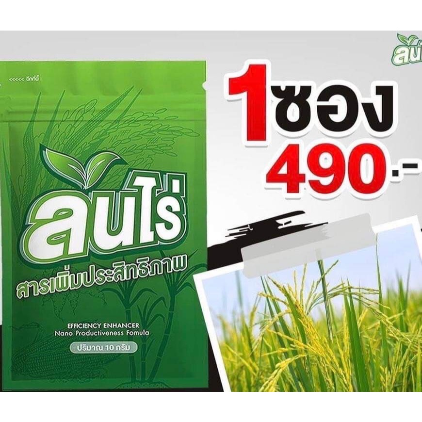 🌱ล้นไร่ สูตรขยายหัวมัน (1 ซอง) หัวดกใหญ่ %แป้งสูง ใบเขียว ต้นโตสะสมอาหารดี ลดเชื้อรา แมลงไม่กวน ถูกใจชาวไร่มันล้นไร่