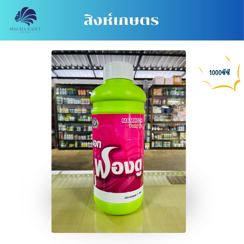 แมมมอท ฟองดู ขนาด 1000ซีซี สาหร่ายสีเขียวเข้มข้น + อะมิโน แตกตายอด หรือตาใบ ส่งเสริมการแตกรากใหม่