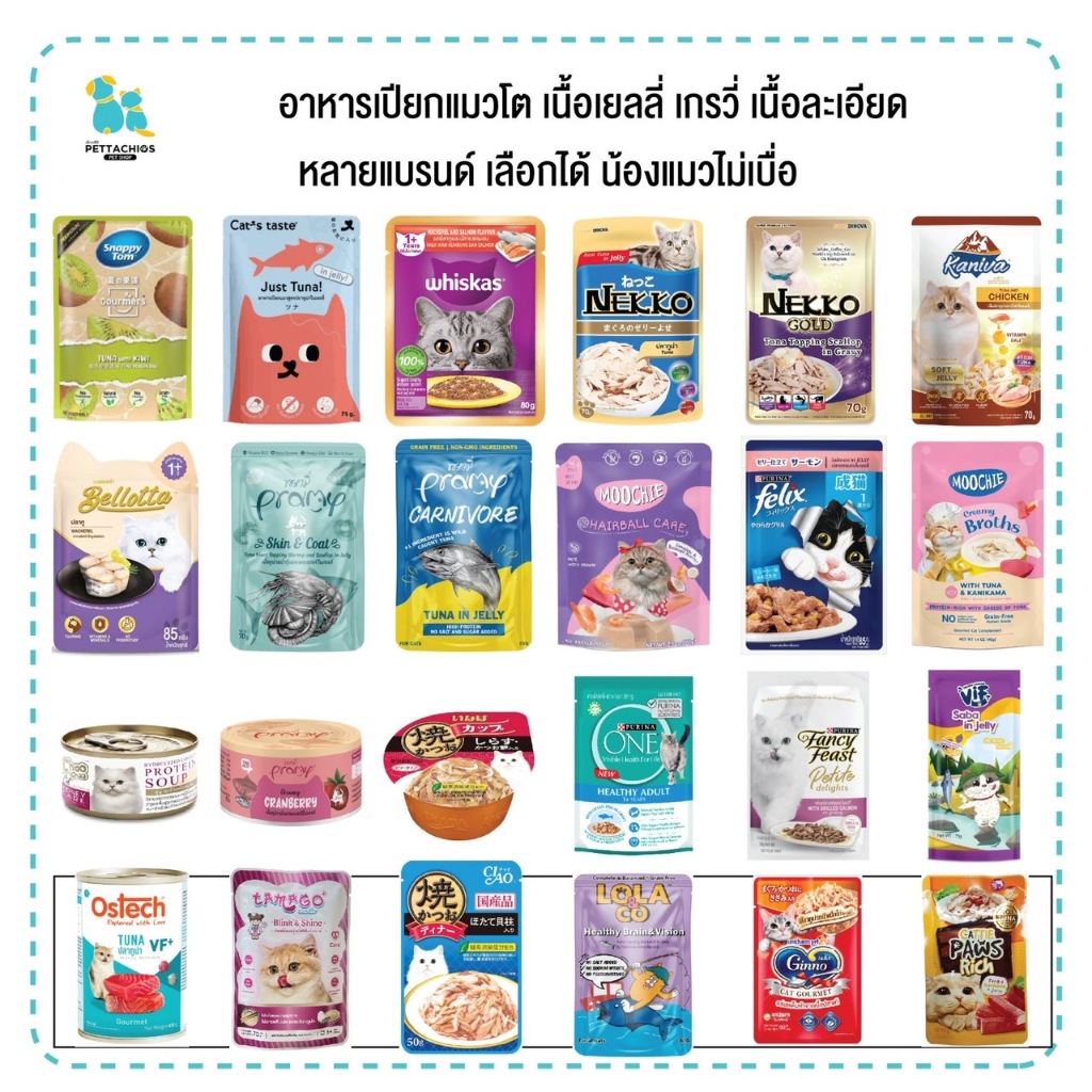 อาหารเปียกแมวโต หลาย Nekko Felix Vif Pramy Inaba Ciao ไม่ต้องซื้อเป็นโหล แมวไม่เบื่อ มีเก็บเงินปลายทาง
