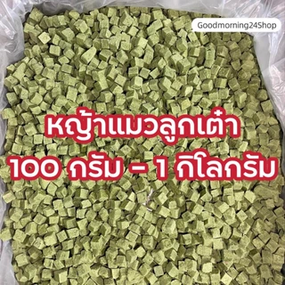 GMN ฟรีซดรายหญ้าแมวลูกเต๋า ขนาด 100กรัม-500กรัม ขนมแมว ขนมหมา สดใหม่ สุดคุ้ม น้ำหนักเต็มปริมาณ ต้นอ่อนข้าวสาลีผสมอกไก่