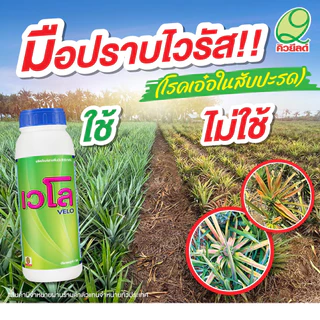 เวโล ยากำจัดเชื้อไวรัส ใช้ในการเกษตร ขวดละ 1 ลิตร