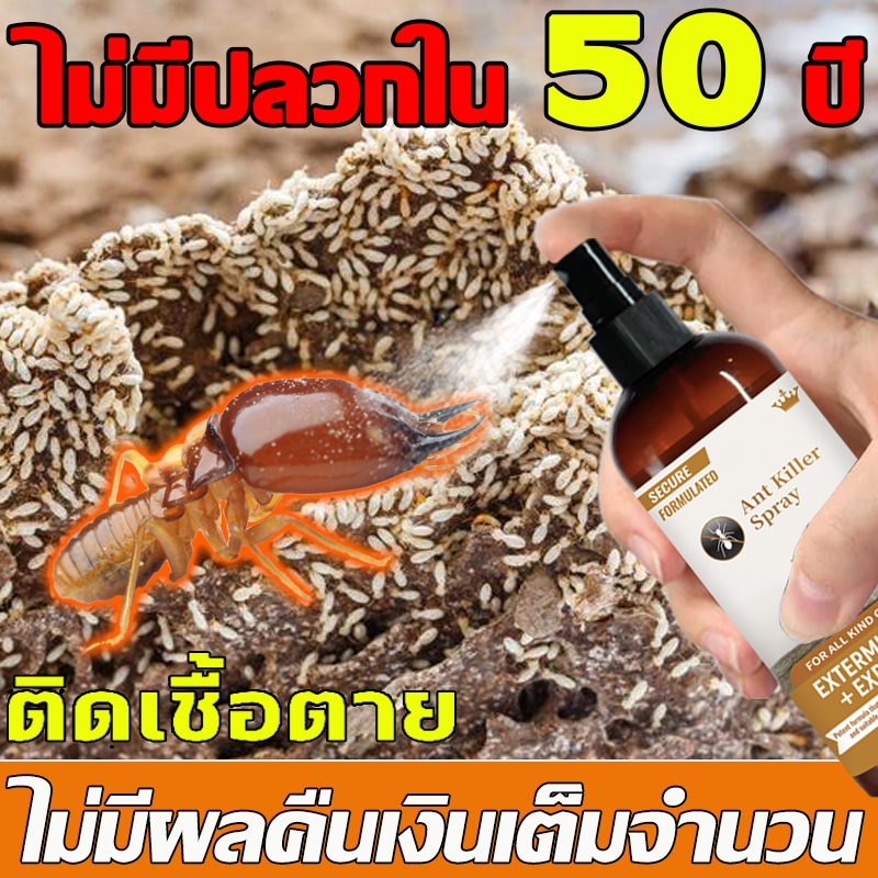 ฆ่าปลวกทั้งรัง   ยาฉีดปลวก ยาฆ่าปลวก กําจัดปลวก ฉีดปลวก ยาปลวก ฆ่าปลวก ที่ฉีดปลวก ยาค่าปลวก 300ml
