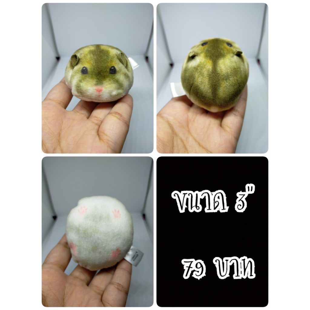 Djungarian Hamster#Hamster#หนูแฮมสเตอร์#หนู#ตุ๊กตาญี่ปุ่นมือสอง