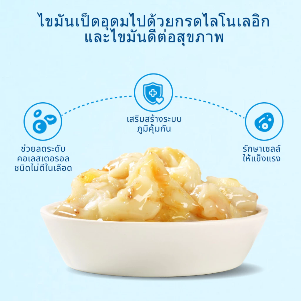 MRVET อาหารแมว Holistic T1&T2 1kg - เหมาะสำหรับแมวทุกช่วงวัย thumbnail 3