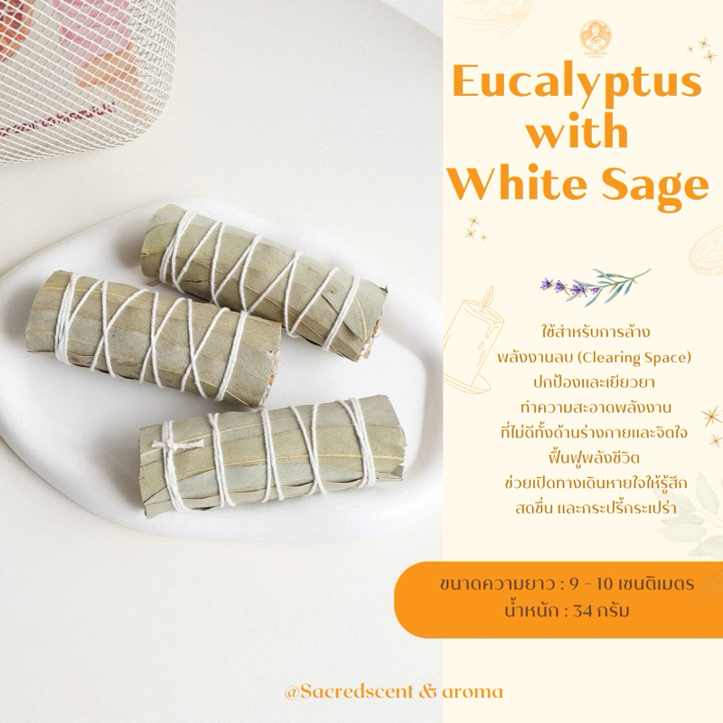 White Sage+Eucalyptus ชุดมัดรวม ไวท์เสจและใบยูคาลิปตัส มัดเล็ก ขนาด 9-10 CM.