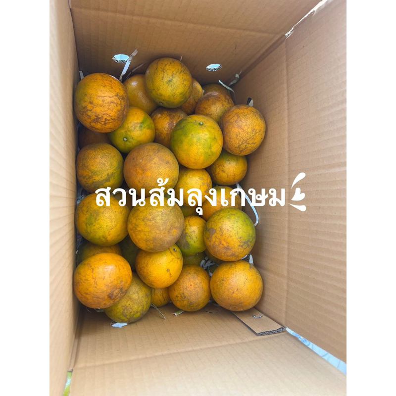 ส้มสายน้ำผึ้งเบอร์คละ 4-5 กล่อง 5 กิโล
