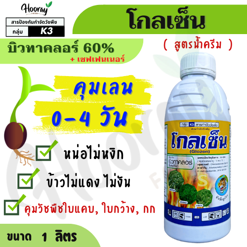 โกลเซฟ ( โกลเซ็น ) 1 ลิตร( บิวทาคลอร์ ) สูตรน้ำครีม คุมเลน หญ้าข้าวนก ดอกขาว ผักปอดนา เทียนนา